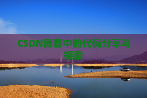 CSDN博客中的代码分享与探索